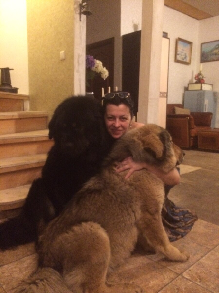 Мои любимые тибеты.