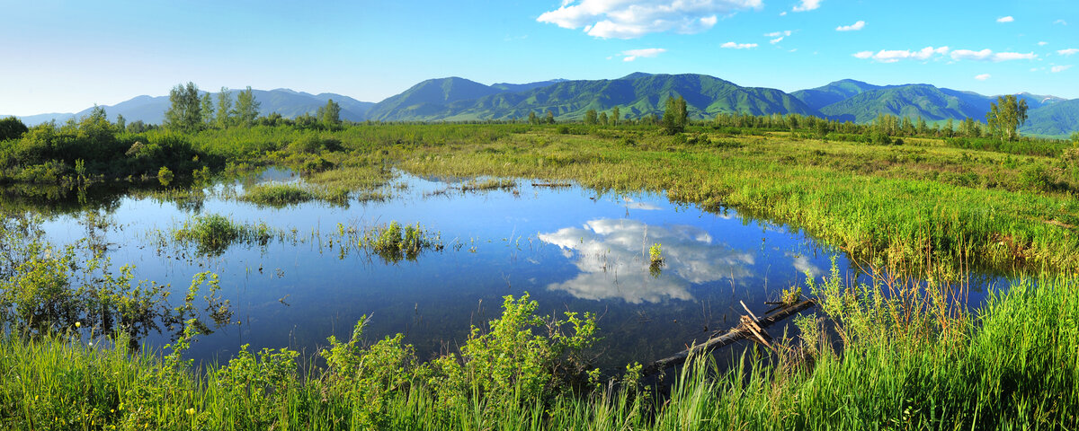 Виды в Усть-Коксе.
