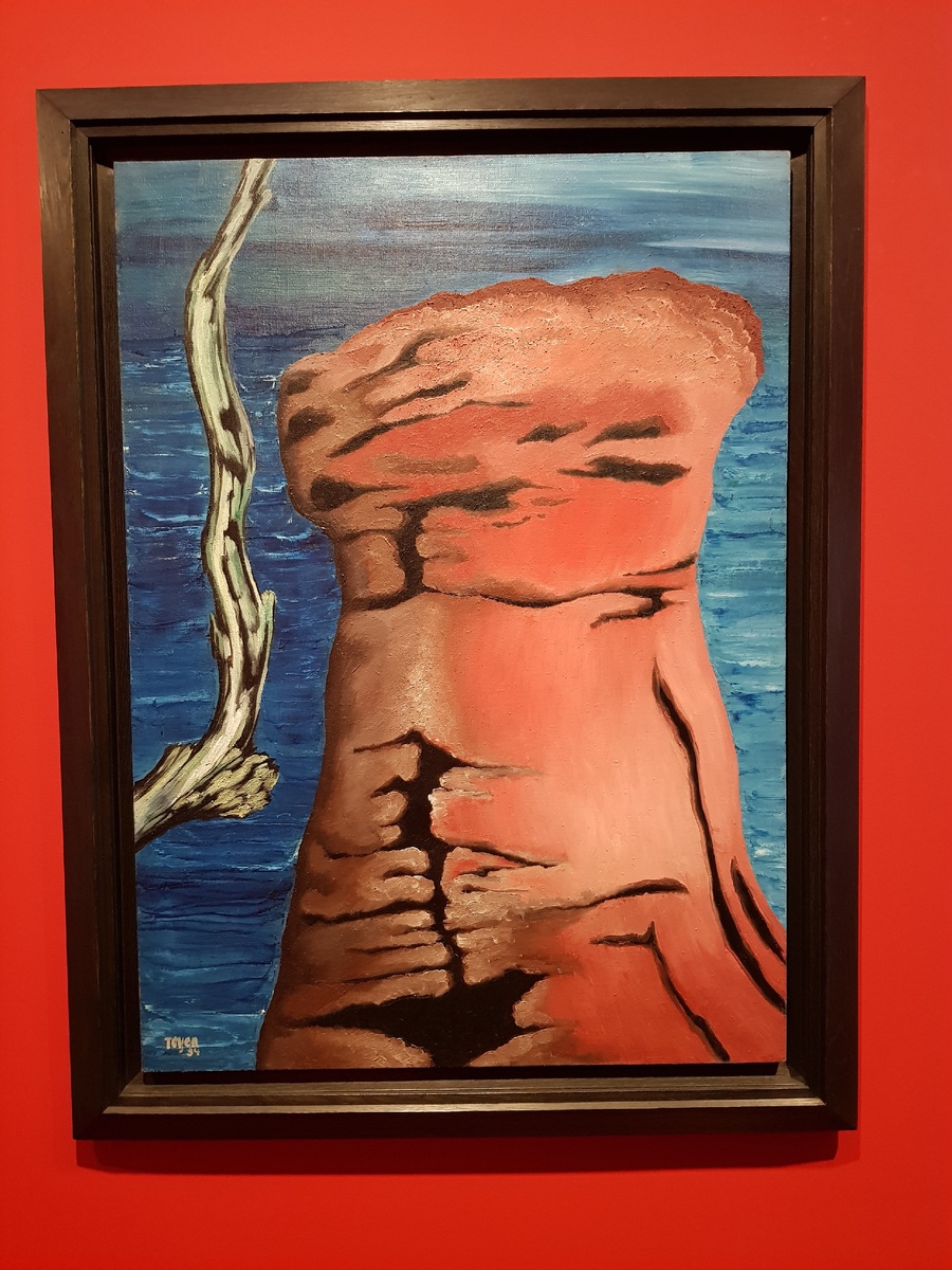 "Магнетическая женщина"