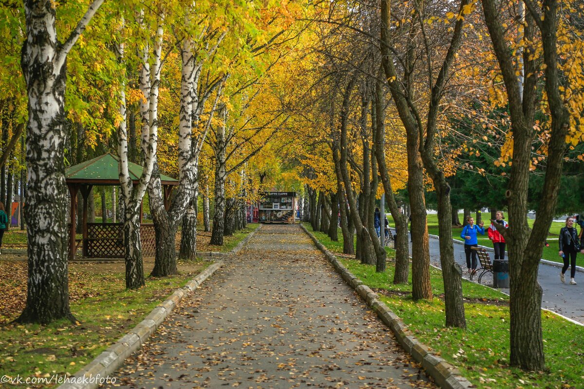 Парк маяковского екатеринбург фото