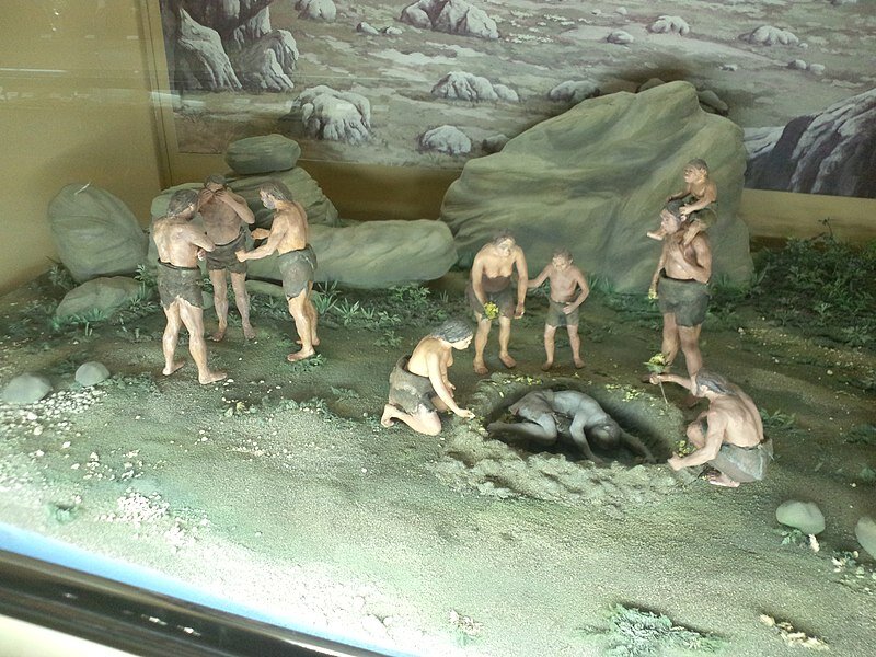 Похороны неандертальца. Музейная реконструкция. 