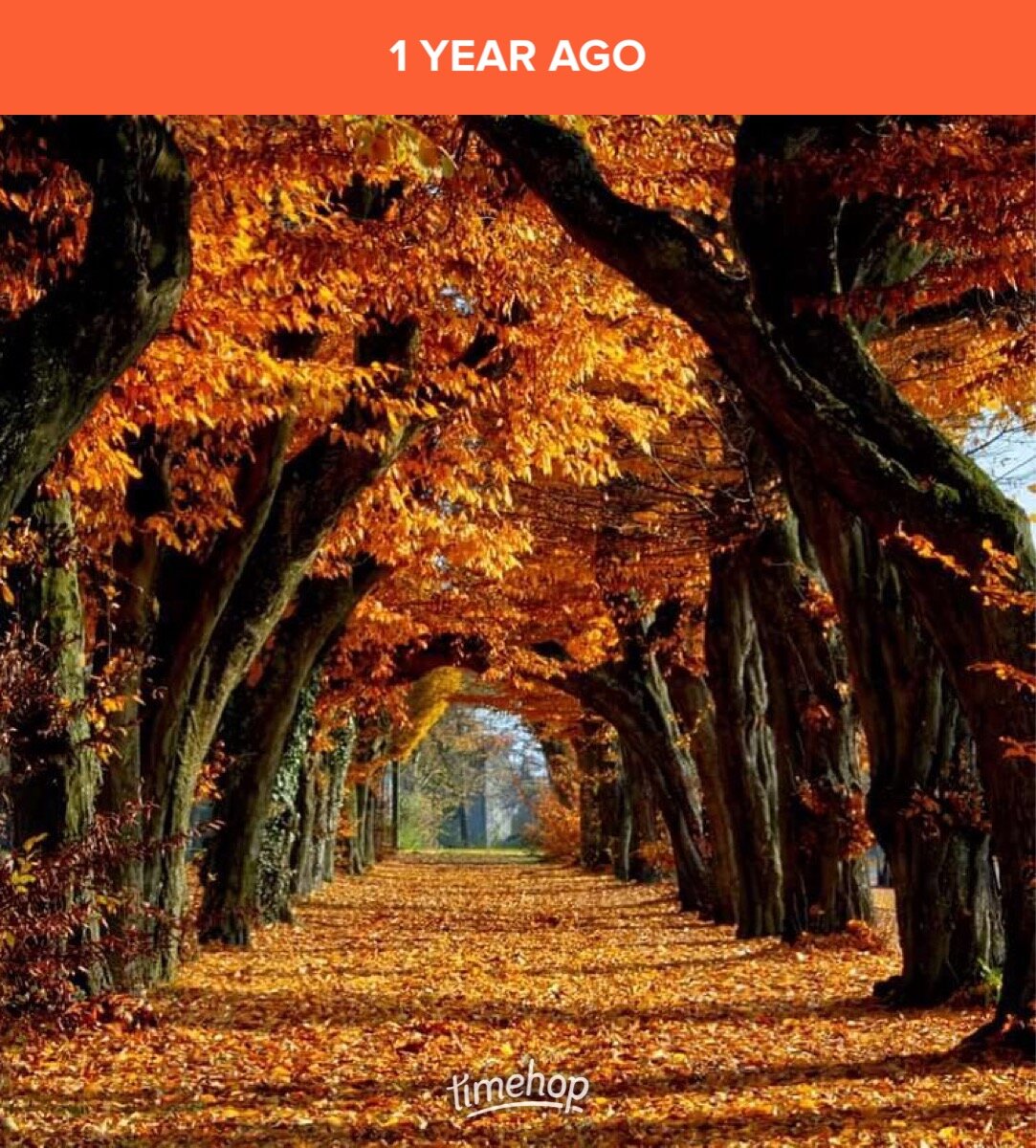 Наслаждайтесь пока есть возможность