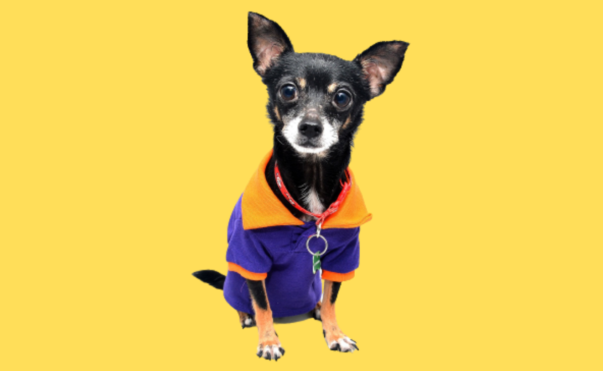 "Толку-то на меня кричать?"