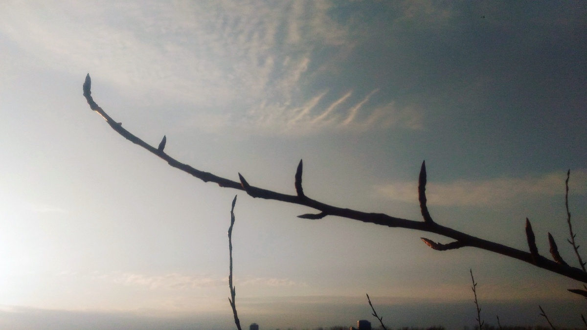 Фотографии авторские. 17 октября 2019.