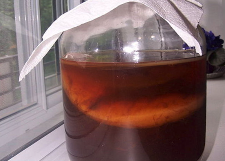 Комбуча - напиток из чайного гриба.