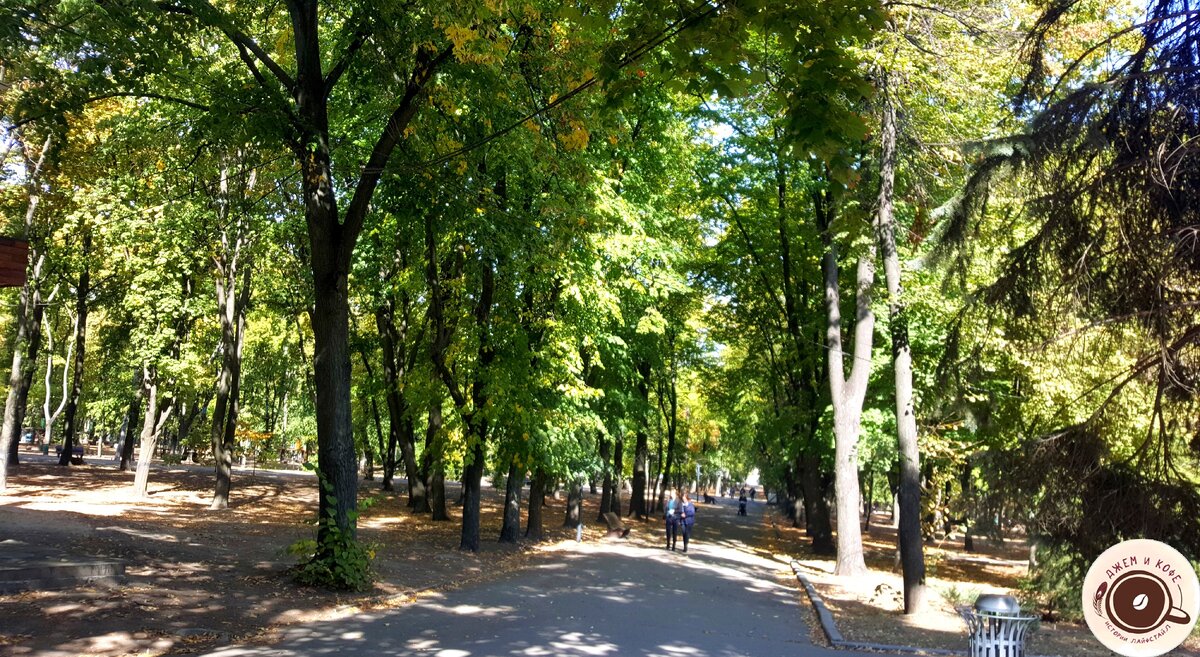 У него была перспективная специальность – радиоэлектроника и робототехника. И голова на месте, и руками своими мог собрать любой телевизор, магнитофон и любую технику.