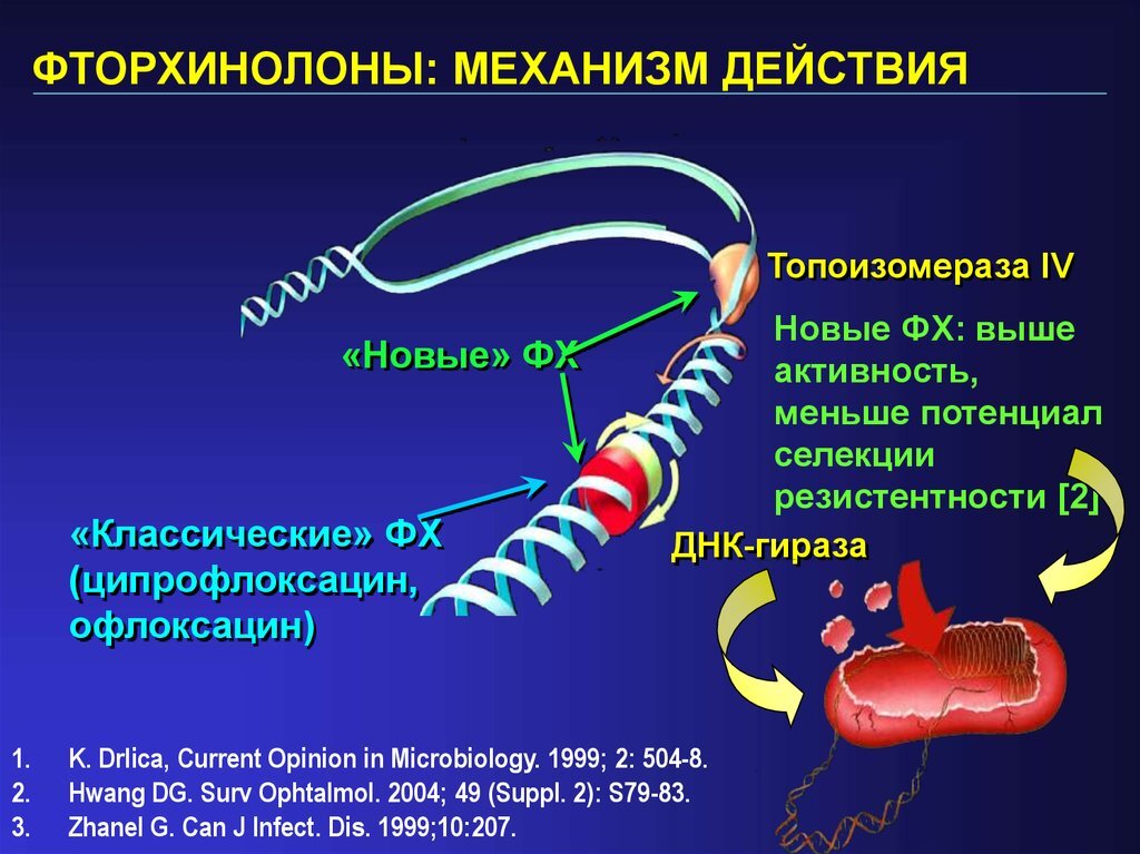 Ципрофлоксацин механизм действия. Механизм действия фторхинолонов. Фторхинолоны механизм действия. Механизм действия хинолонов и фторхинолонов. Фармакодинамика фторхинолонов.