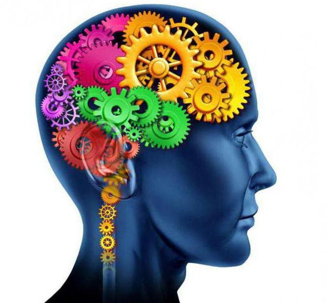 Отрабатывая по факту в день уже через месяц вы можете добиться большого успеха! 