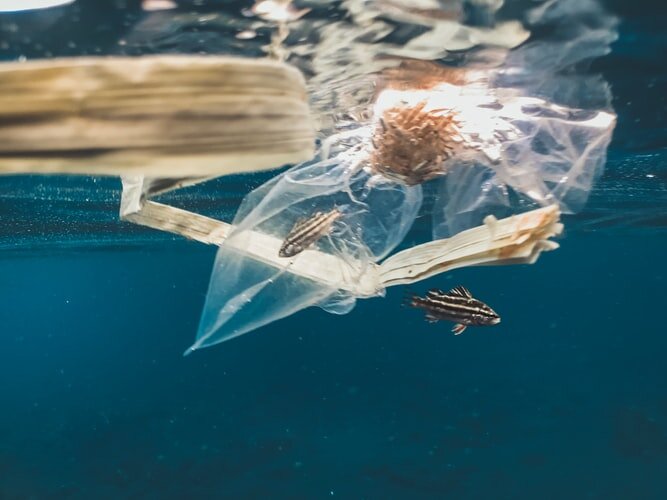 Naja Bertolt Jensen/unsplash.com/СС0