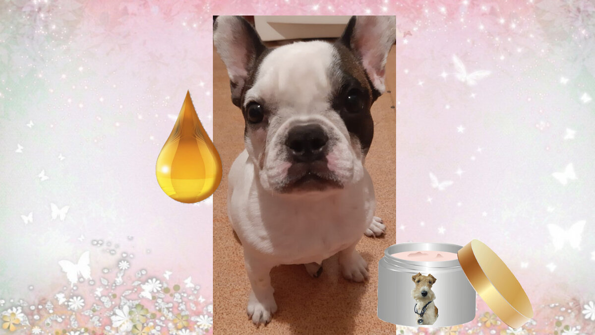 Если понравилась статья, подписывайтесь на канал, пишите комментарии, ставьте лайк