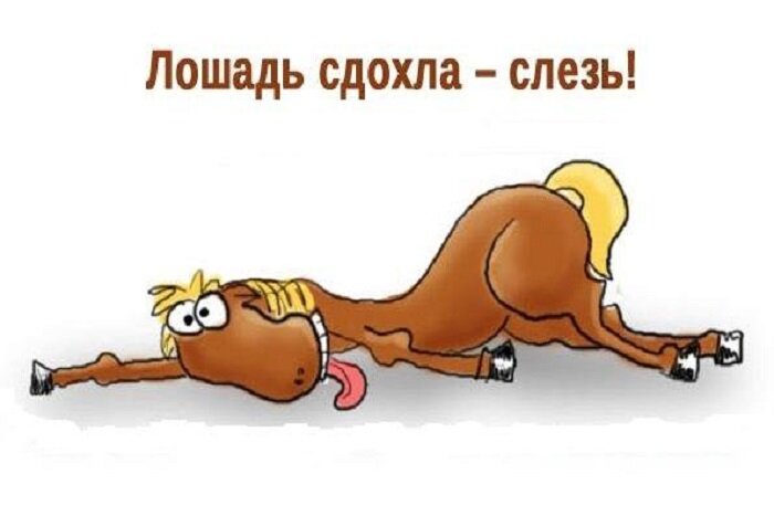Фото из интернета