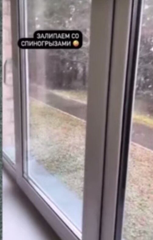 пардон за качество, сделан скриншот из соцсетей