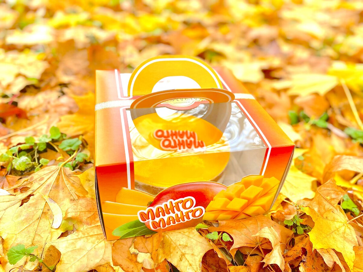 В такой коробке представлен этот торт