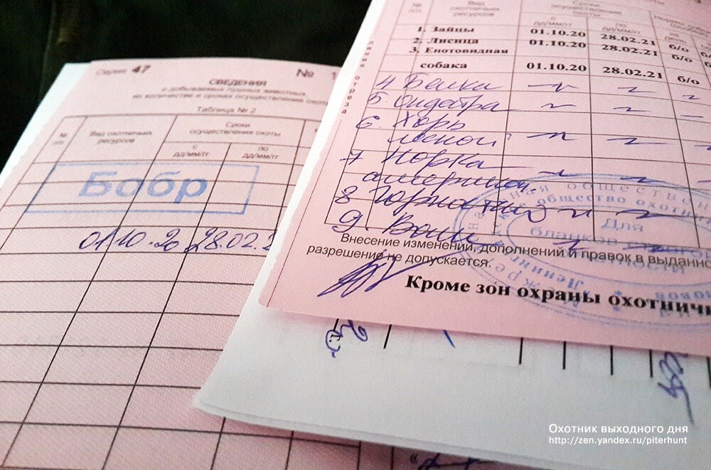 Разрешение, Путевка, Лицензия. Рассказываю, в чем разница для охотника ...