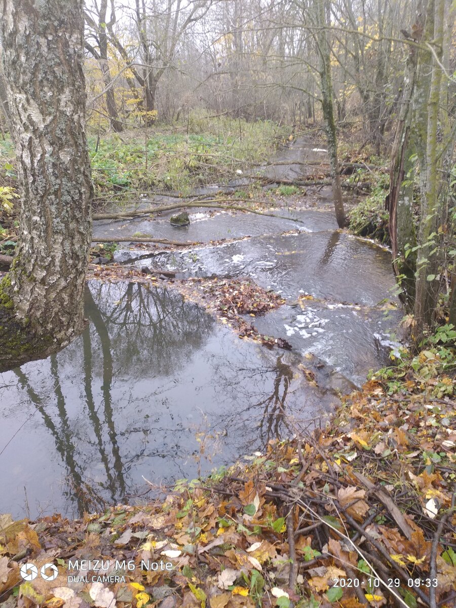 Усмирила речку Осень,быть потише ее просит...
