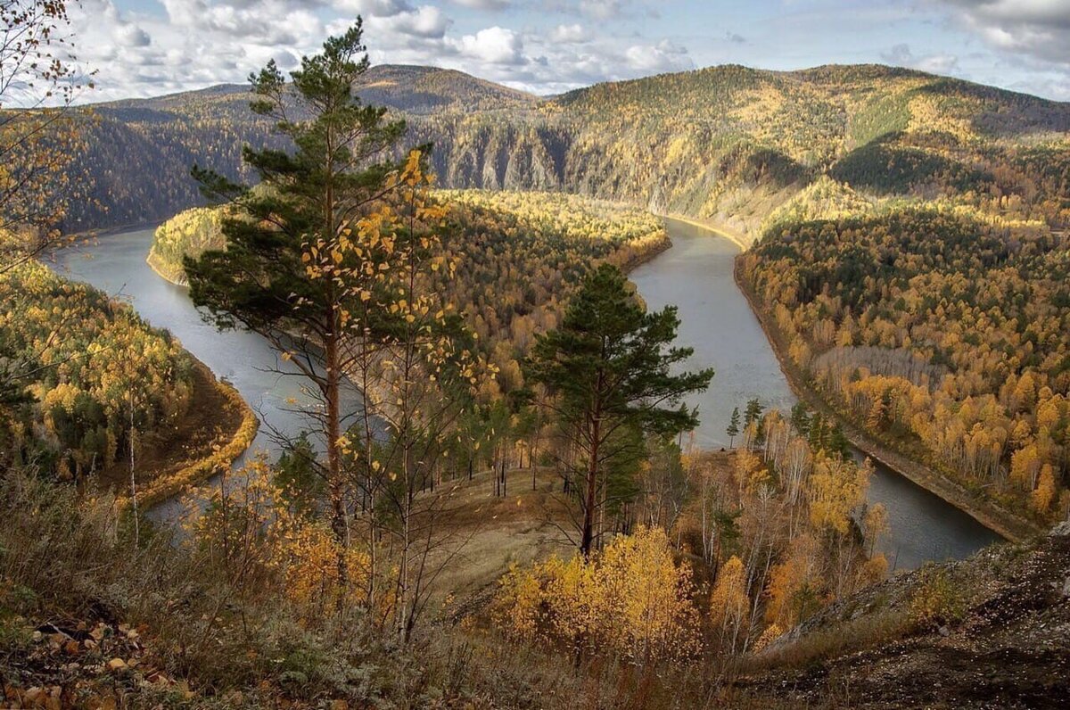 Осень на Манской петле, автор — Фомина Марина