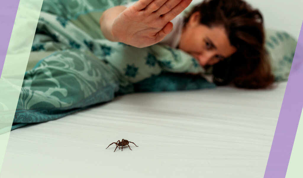 Избавиться от насекомых своими силами? Можно, но сложно!