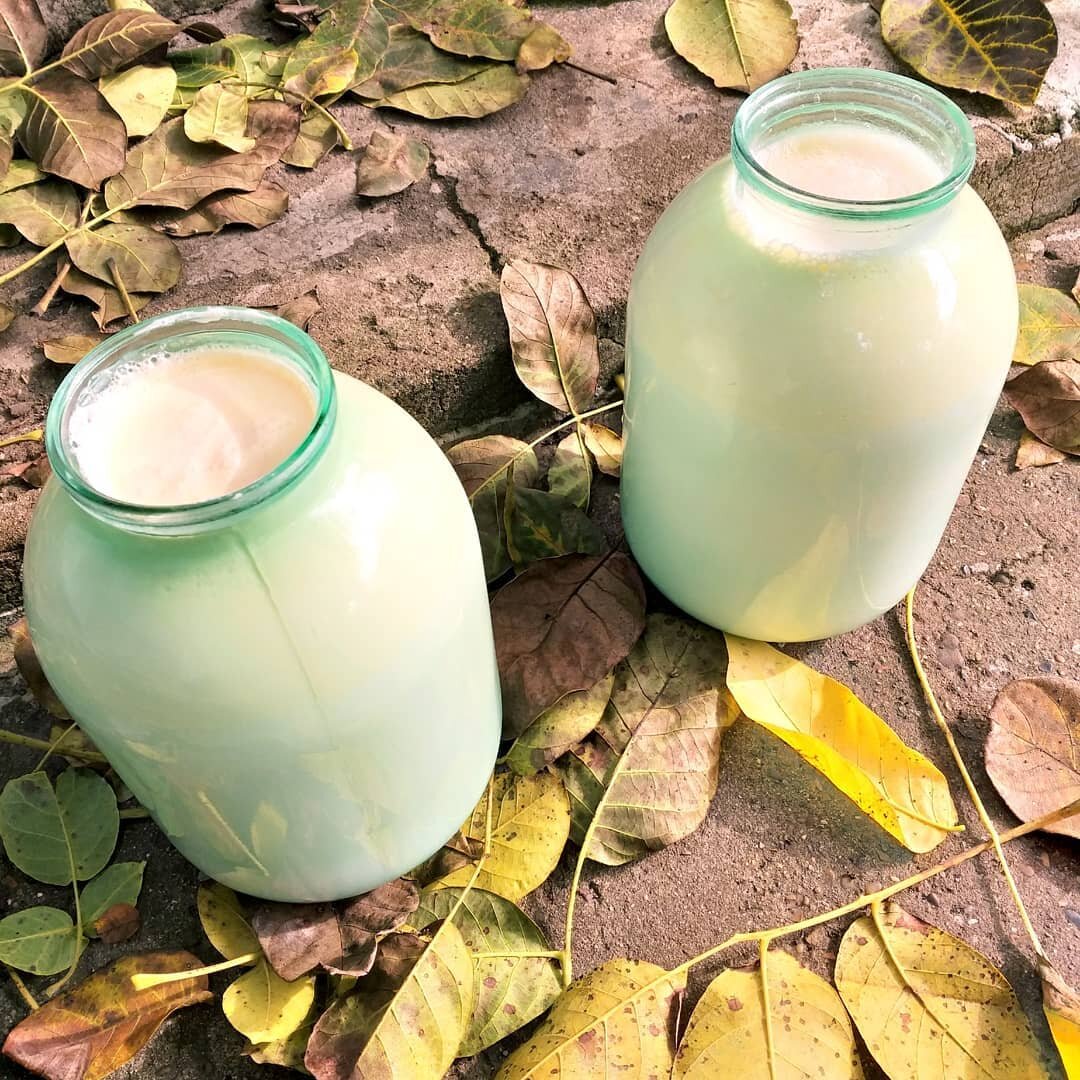 Парное молоко