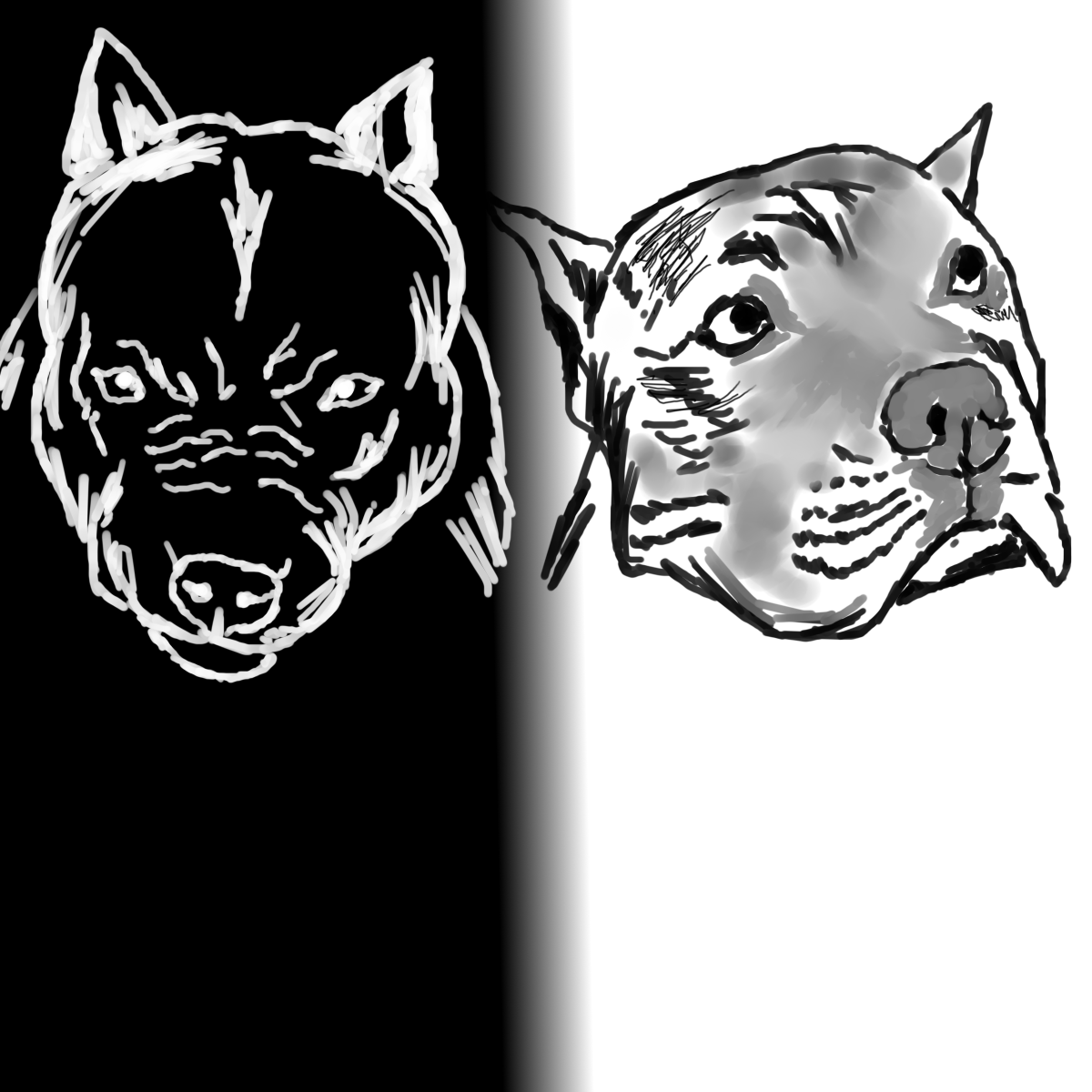 Американский питбультерьер