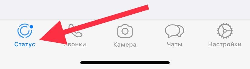 Выбор вкладки Статус в воцапе