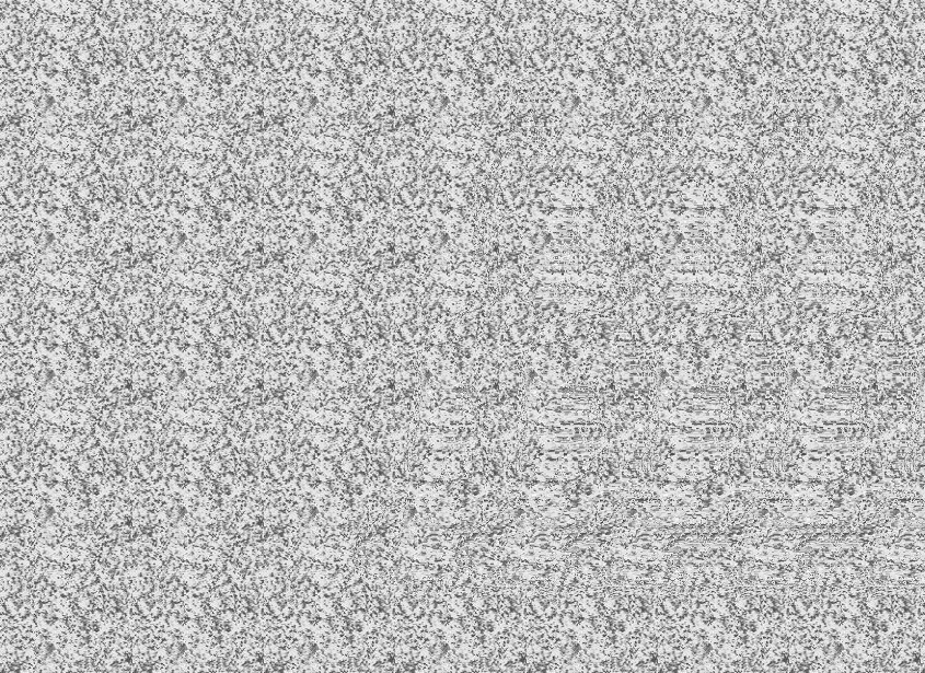 Авторская стереокартинка