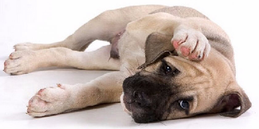 Туберкулез - это крайне тяжелая болезнь, которая очень сложно поддается лечению