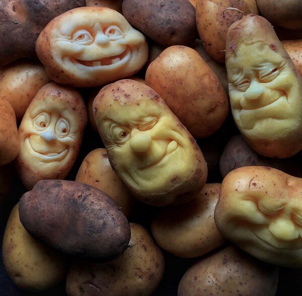 Картошку в нашей стране любят почти все, а в сезон молодой картошки – даже те, кто в другое время её не ест 