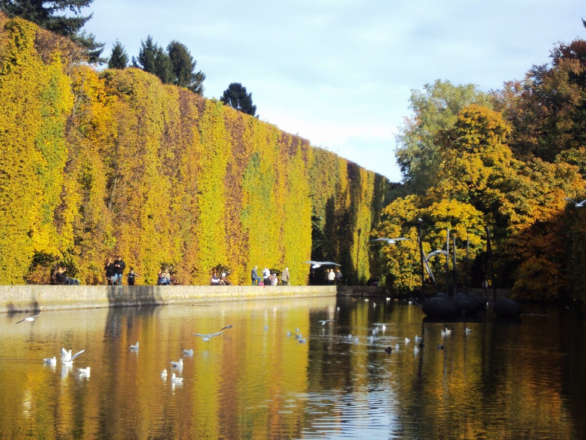 В Польше много красивых парков. Это парк Олива в Гданьске