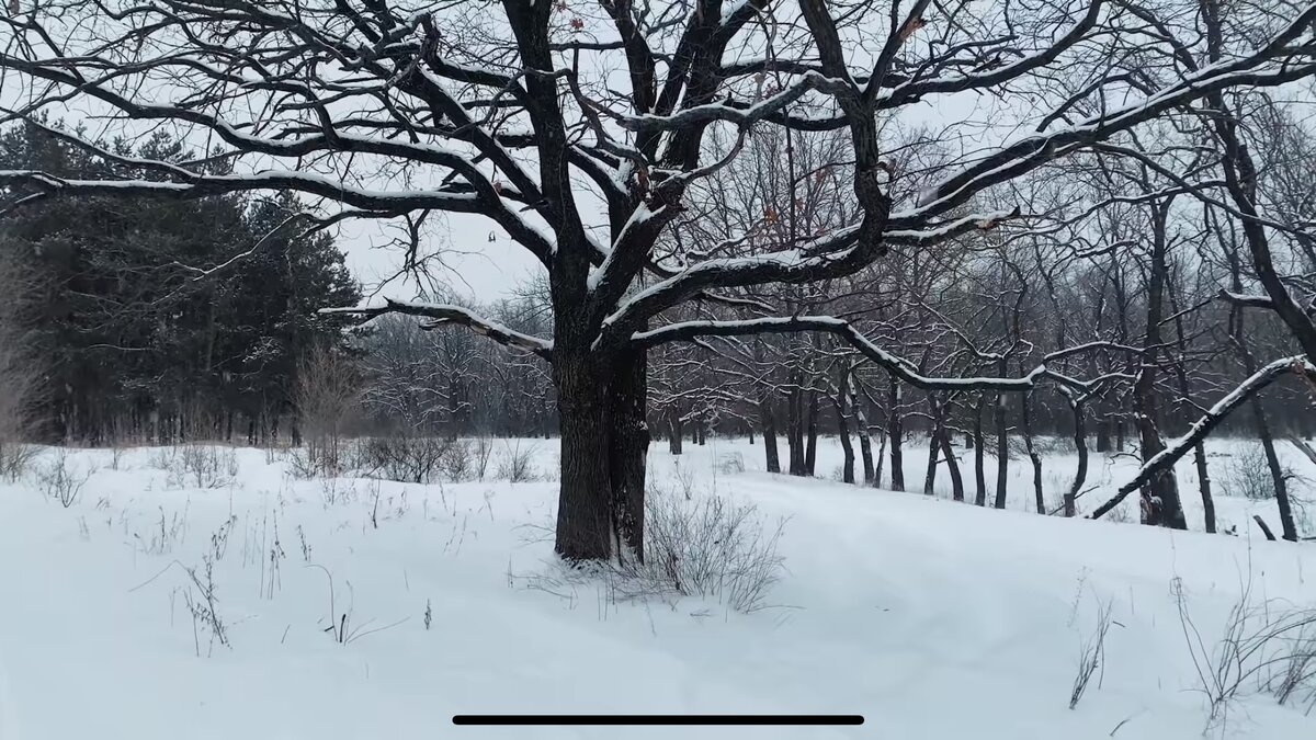 Тишина и спокойствие...