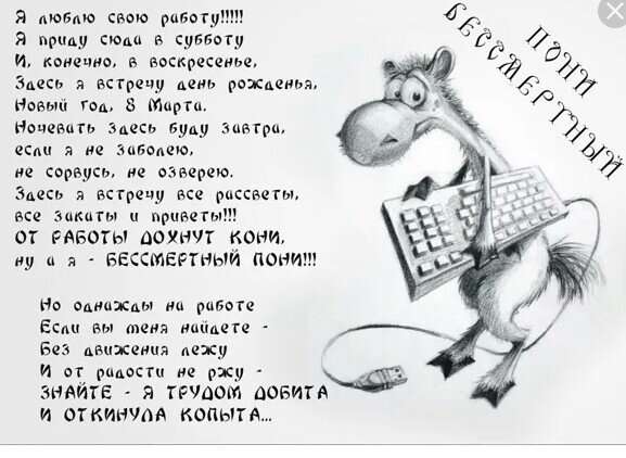 Фото Яндекс. Картинки