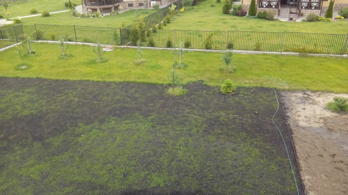 Первая часть газона