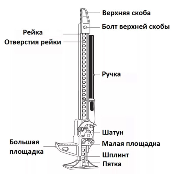 Взято из открытых источников.