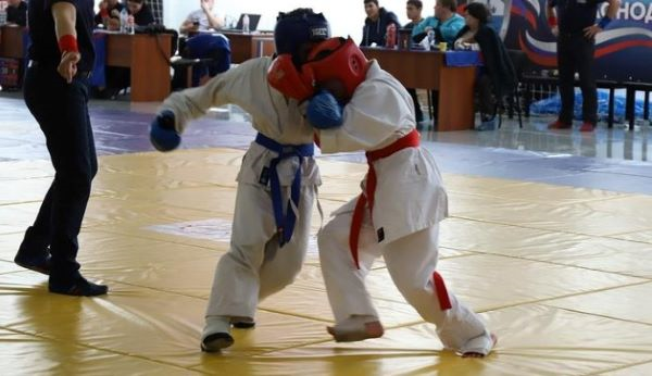 

В состав Федерации входит более 23 муниципальных образований, 40 клубов, 60 тренеров и 50 судей. Численный состав - около 15000 человек. От Усть-Лабинского района на соревнованиях выступают бойцы клуба армейского рукопашного боя и контактных видов единоборств «ХОРТ».