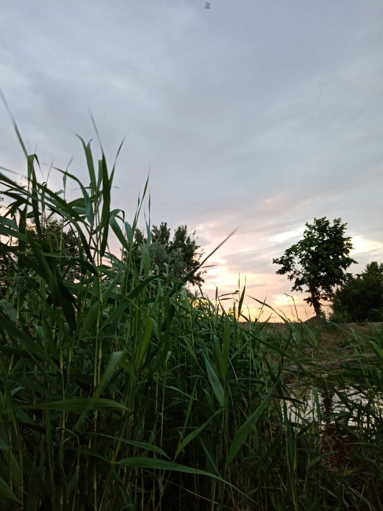 Фото из личного архива