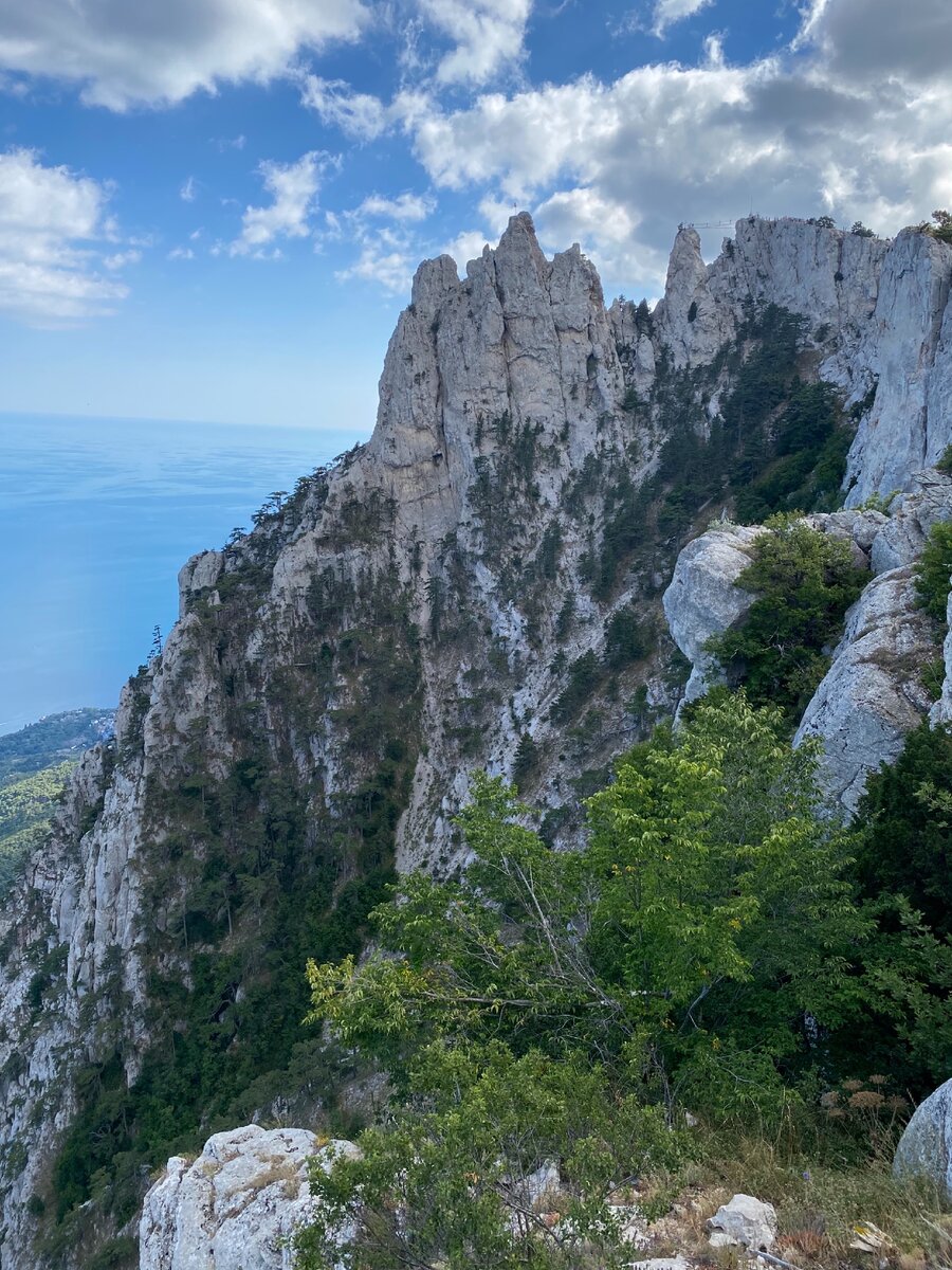 Гора Ай-Петри в Крыму. Что посмотреть: водопад, зубцы, смотровые, старая  дорога XIX века | Manikol. Путешествия всей семьей | Дзен