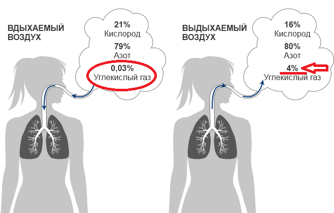 Из интернета. Наша норма для каждого вдоха. И выдоха.