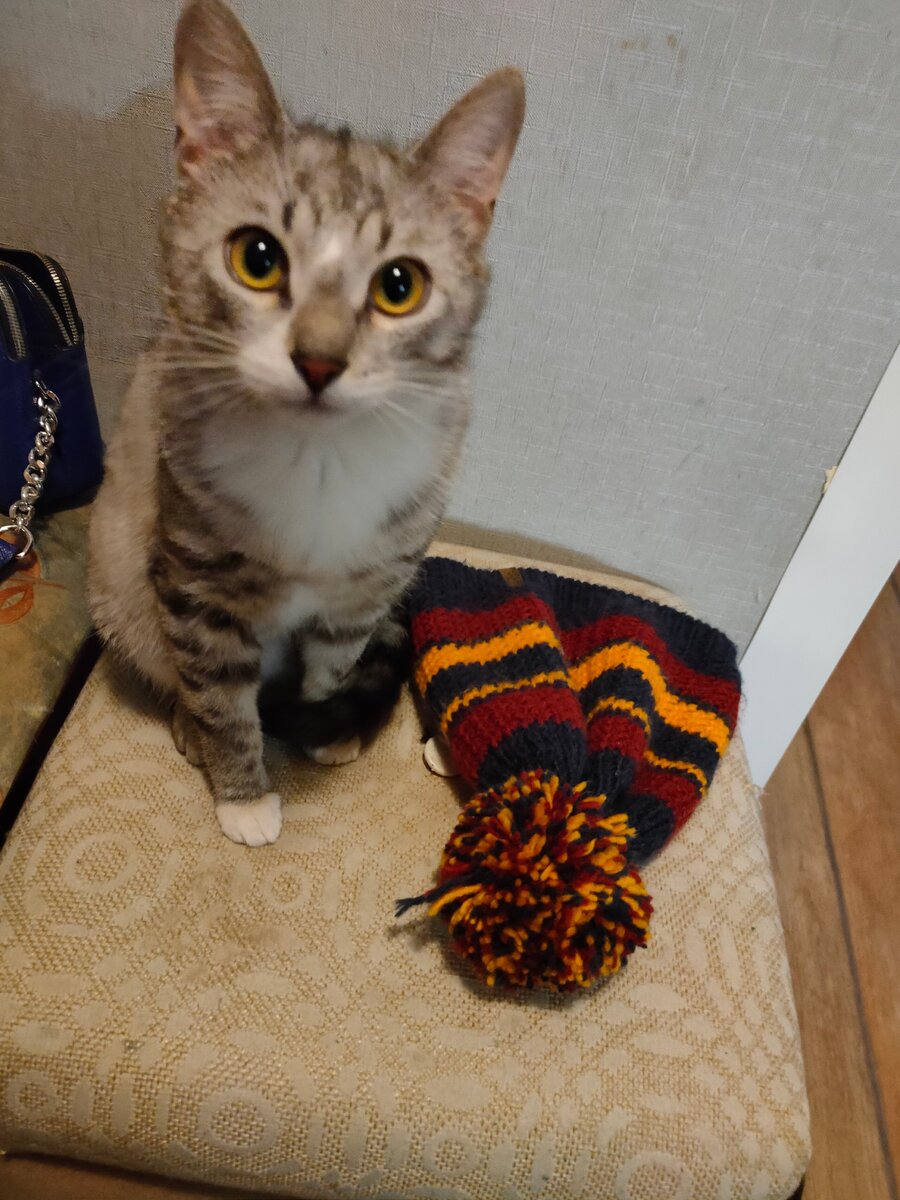 Фото автора