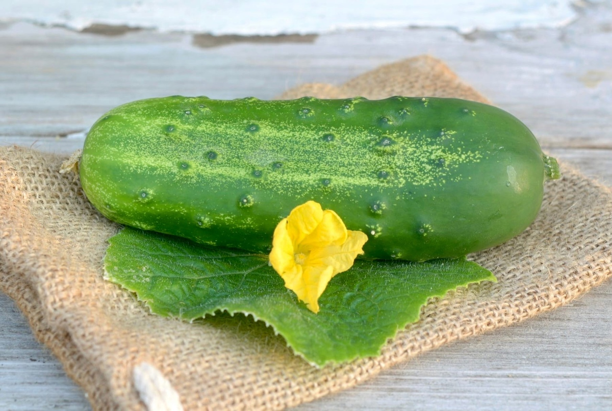 Собственное фото сделанное на камеру