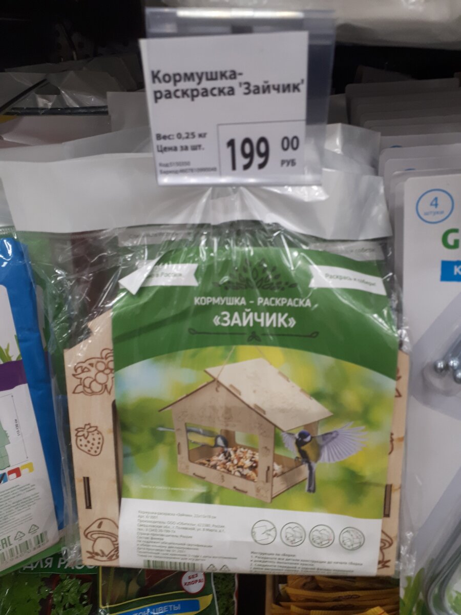 фото автора статьи 