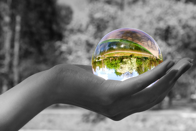 Фото из открытых источников в Интернет.