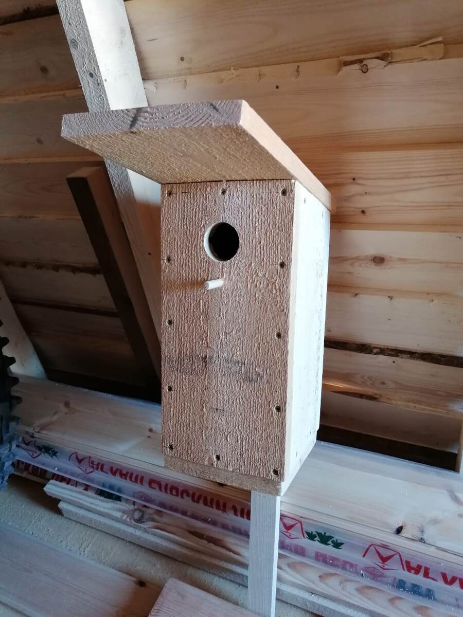 новая птичья жилплощадь