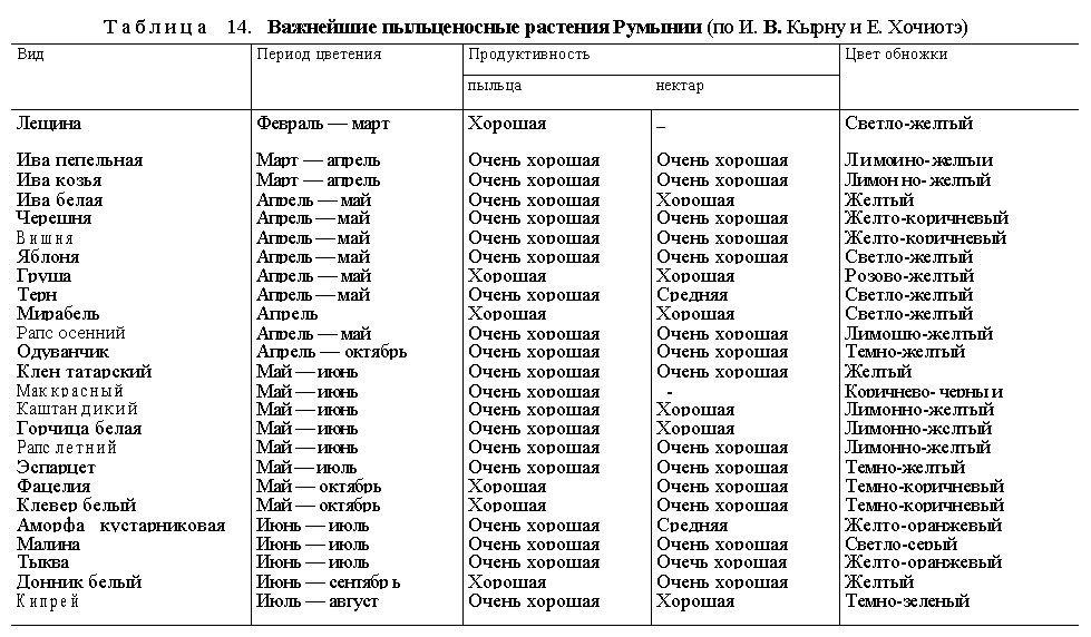 Медоносы для пчел таблица