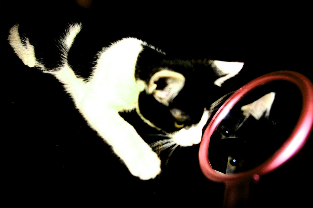 И задумалась о том, что наши посты «зеркалят».