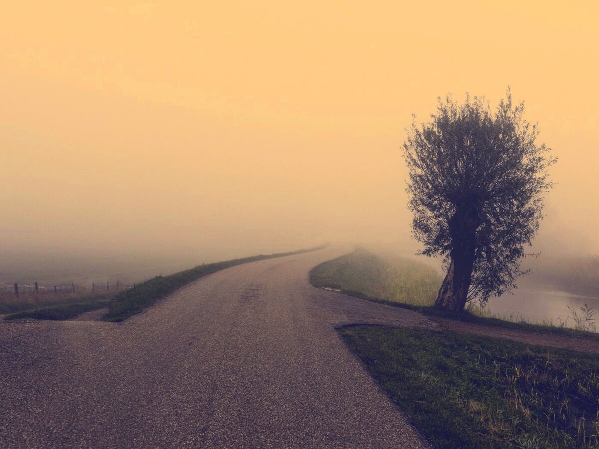 (изображение из сети) 