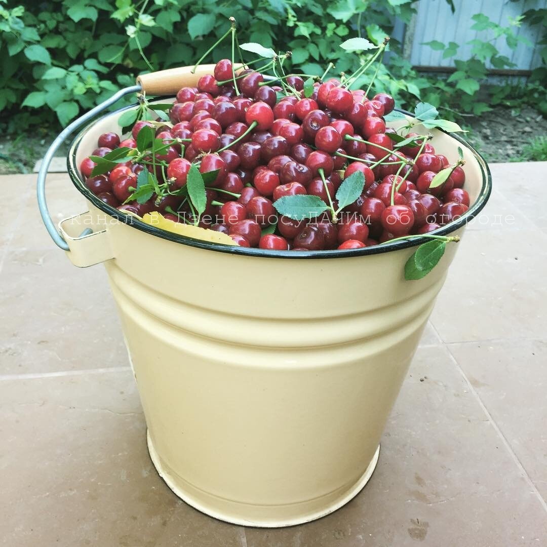 После пескования не такой еще урожай соберете! Если не верите, почитайте отзывы дачников в Интернете 