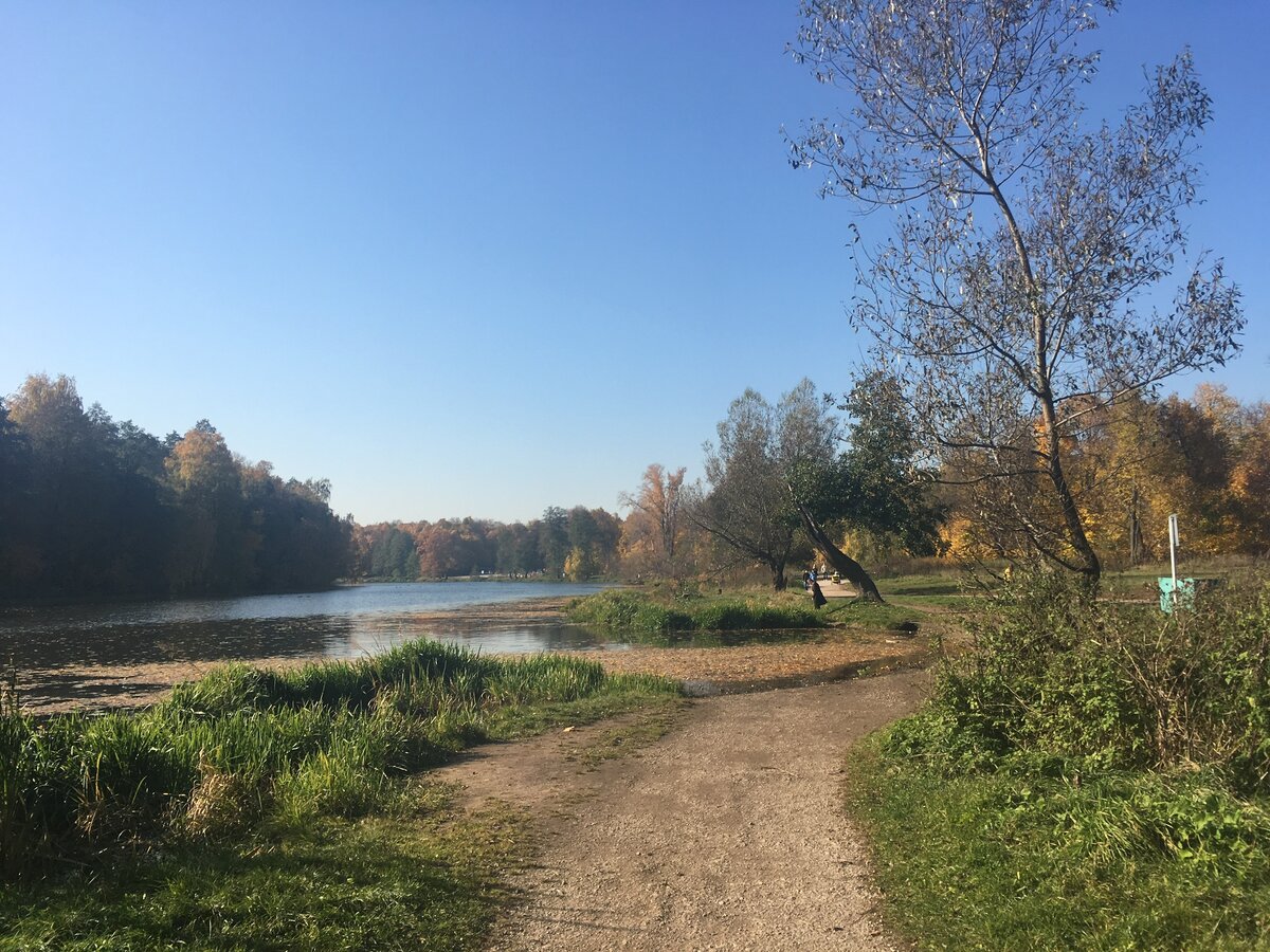 Московский парк  и правда прекрасен!