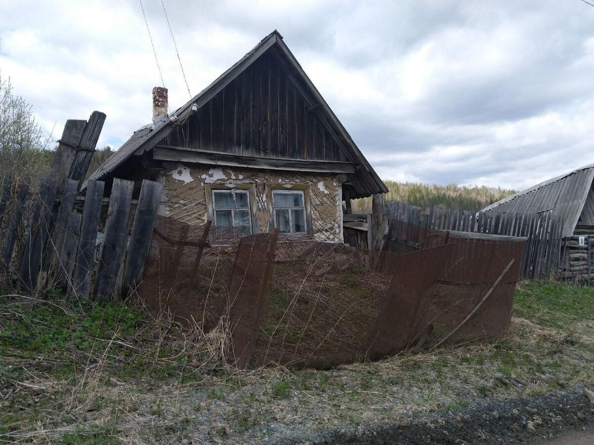 Проехали 250 км, чтобы показать ребёнку маралов. Эти благородные олени  живут в национальном парке Зюраткуль | Дом, где пахнет шарлоткой | Дзен