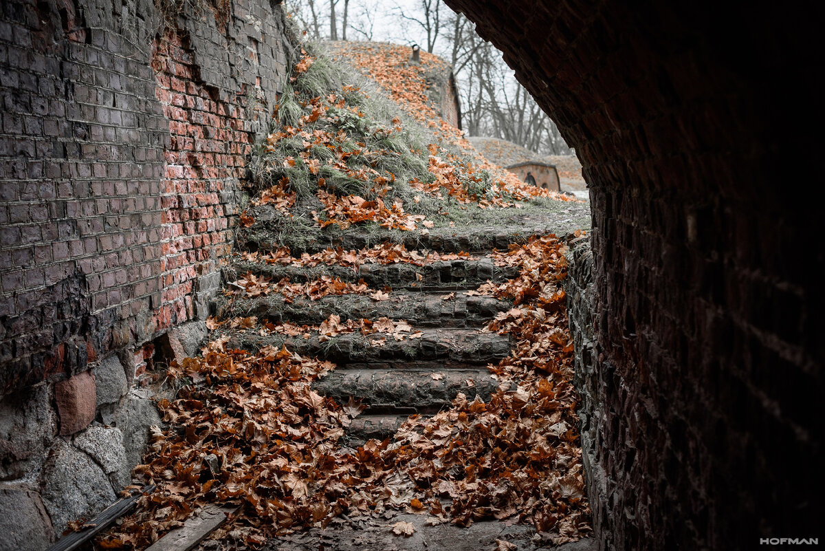 Форт №11 «Денхофф»