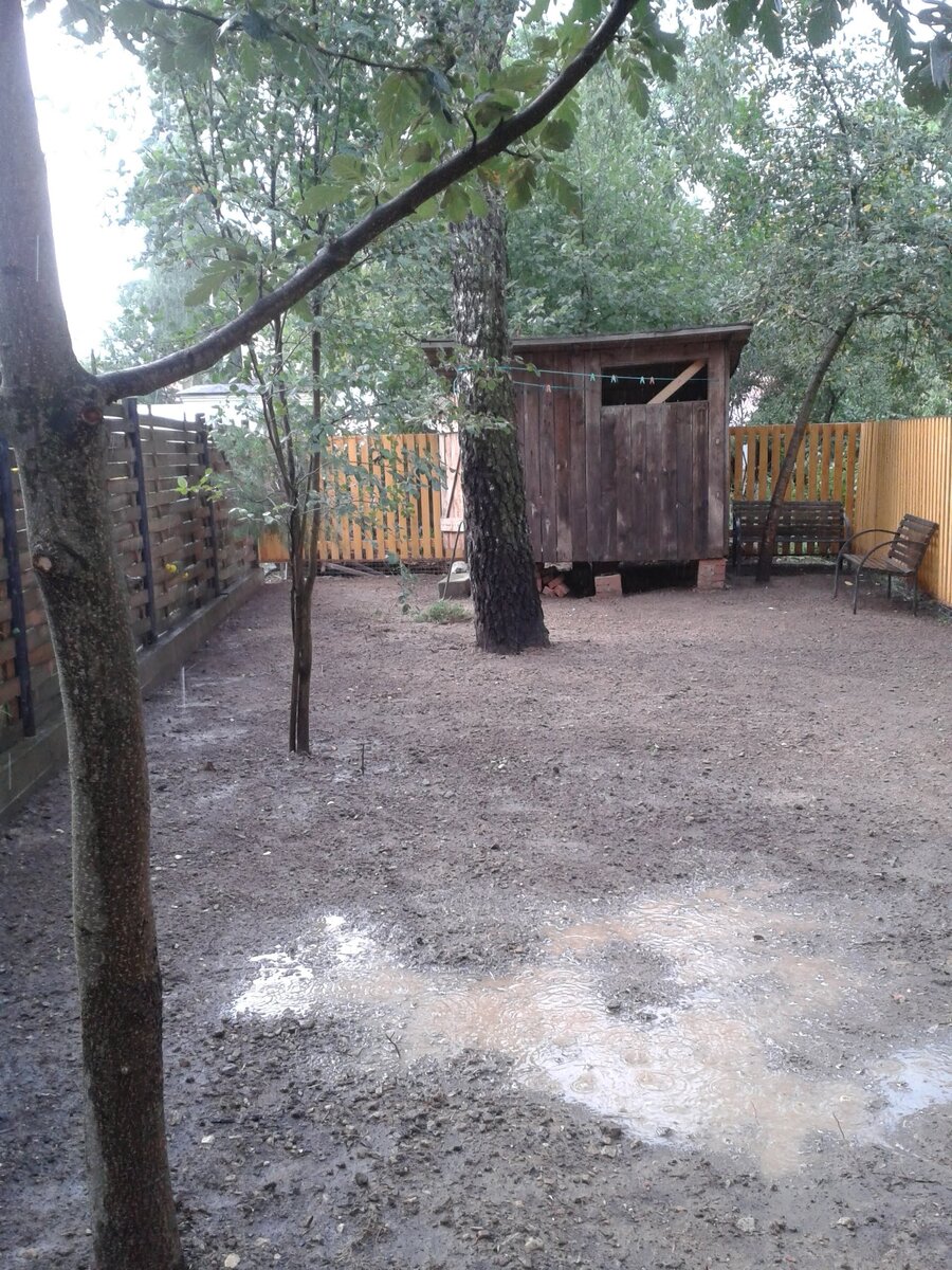 2014 год. Подготовка газона 