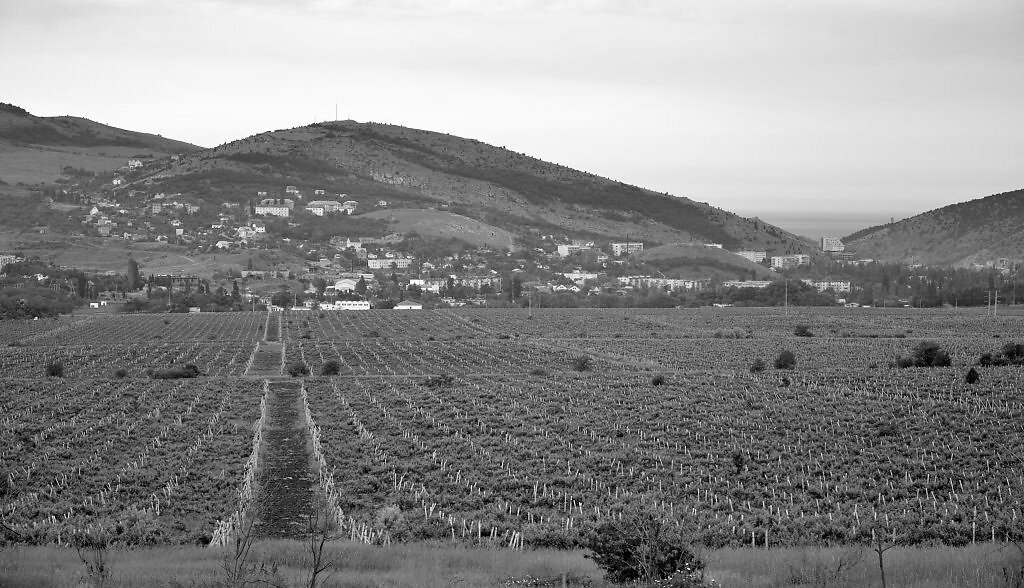 "Золотая Балка"
